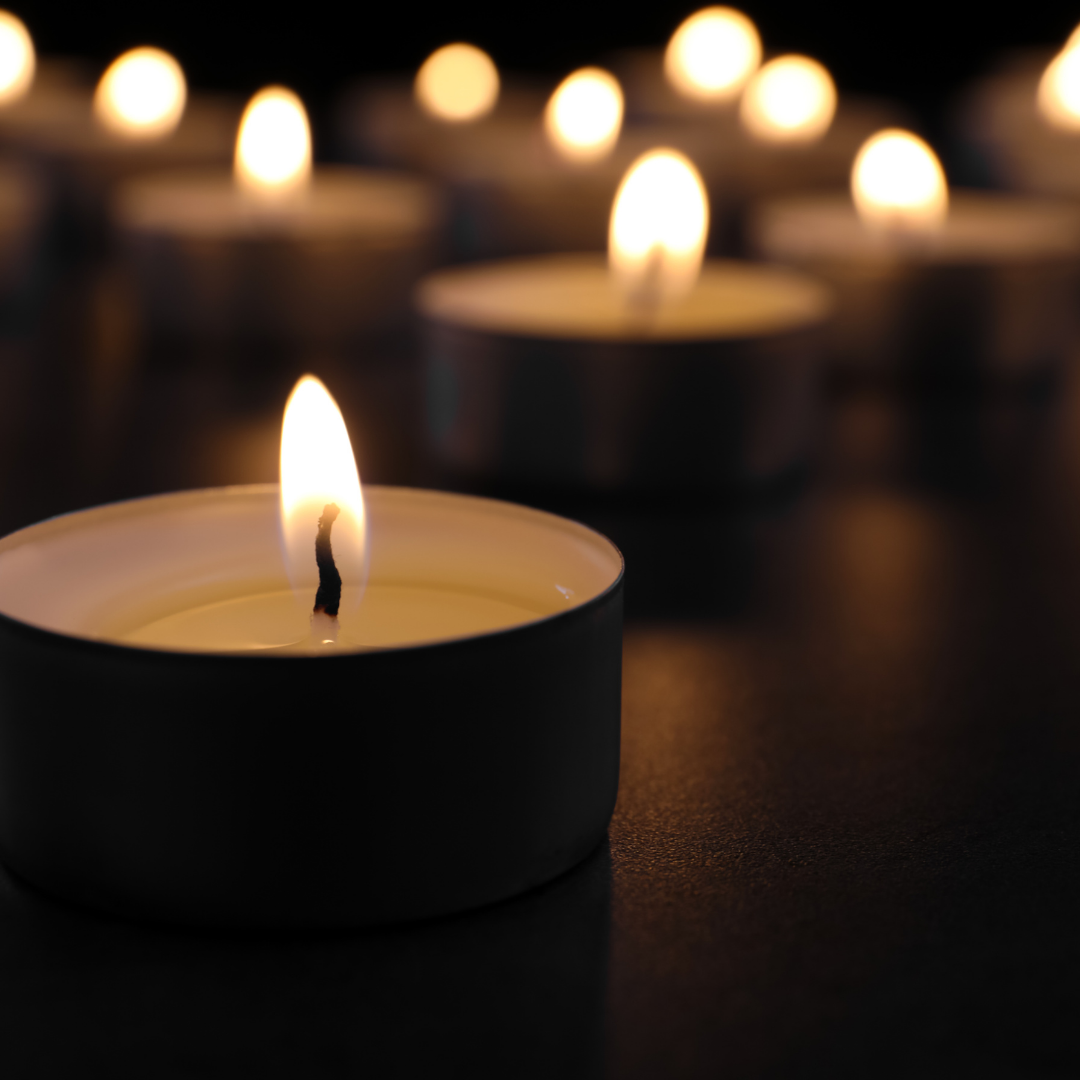 Soy Coconut Wood Wick 12 oz Candles