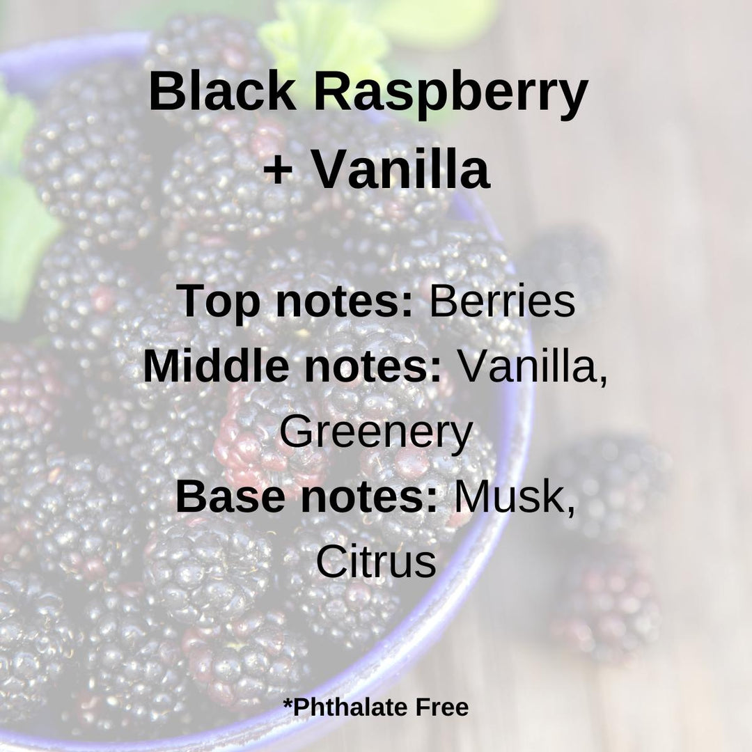Black Raspberry + Vanilla 100% Soy Wax Melt