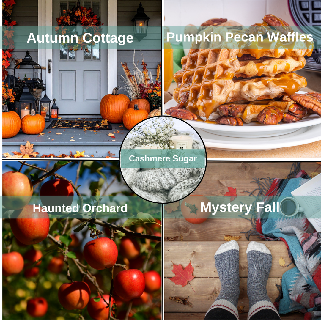 100% Soy Wax Melt Monthly Subscription (4-Pack Variety) September's Theme: Fireside Tales (1st month FREE - discount applied at checkout)