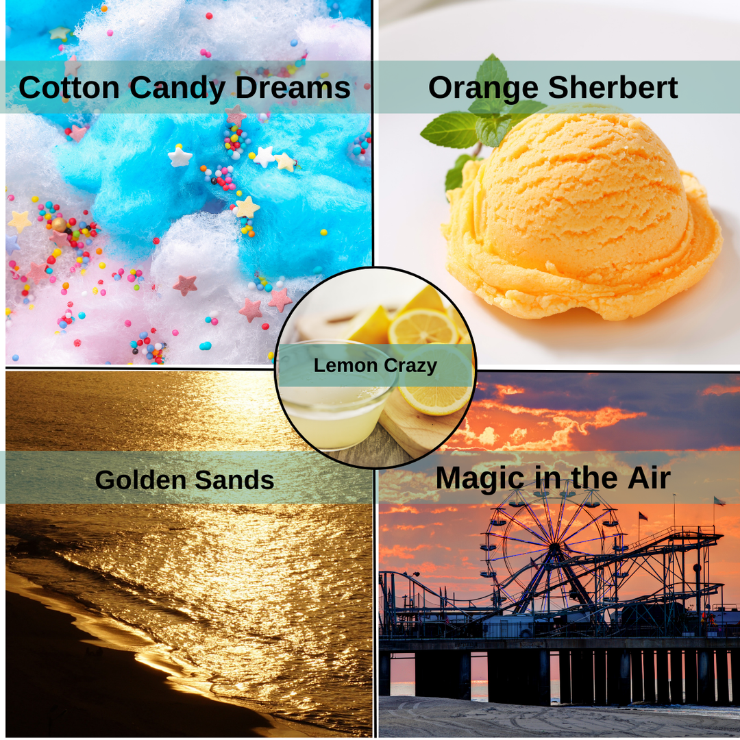 100% Soy Wax Melt Monthly Subscription (4-Pack Variety) June's Theme: Summer Boardwalk (1st month FREE - discount applied at checkout)