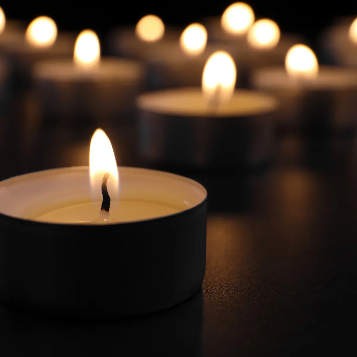 Soy Coconut Wood Wick 7.75 oz Candles