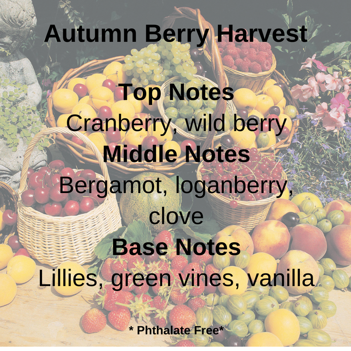 Autumn Berry Harvest scent notes of Cranberry, wild berries, bergamot, loganberry, clove, lillies, vanilla displayed over a harvest of fruit and berries.