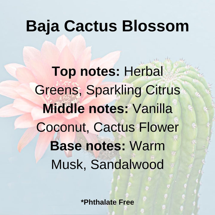 Baja Cactus Blossom scent notes of herbal greens, citrus, vanilla, coconut, cactus flower, musk and sandalwood displayed over a cacus blossom.