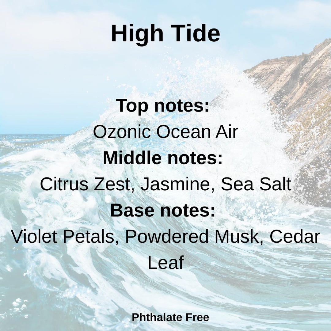 High Tide 100% Soy Wax Melt