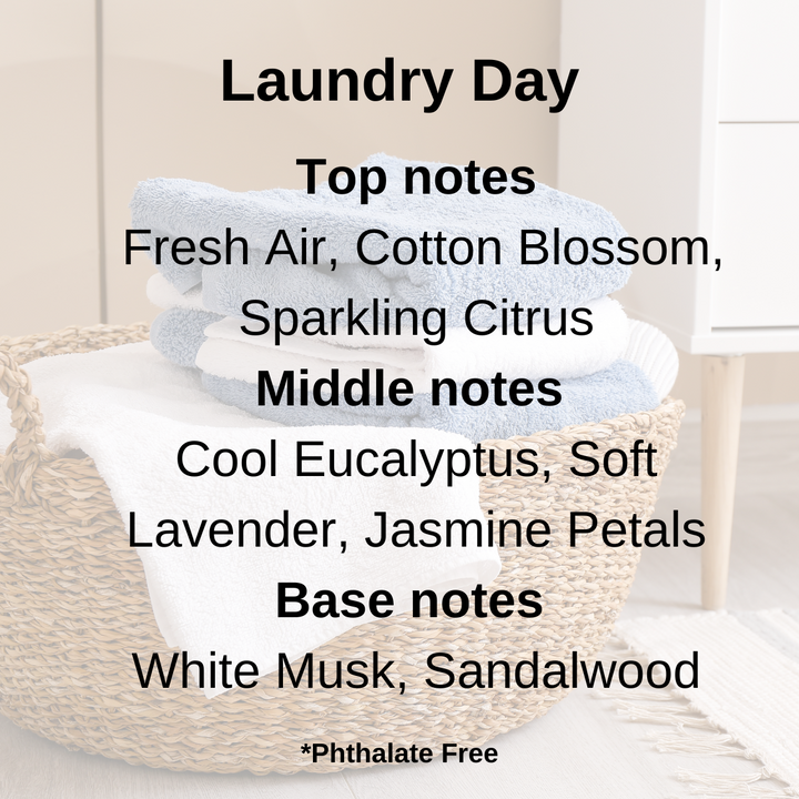 Laundry Day 100% Soy Wax Melt